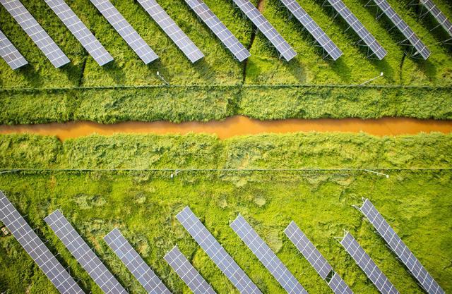 Vector Renewables Vector Renewables