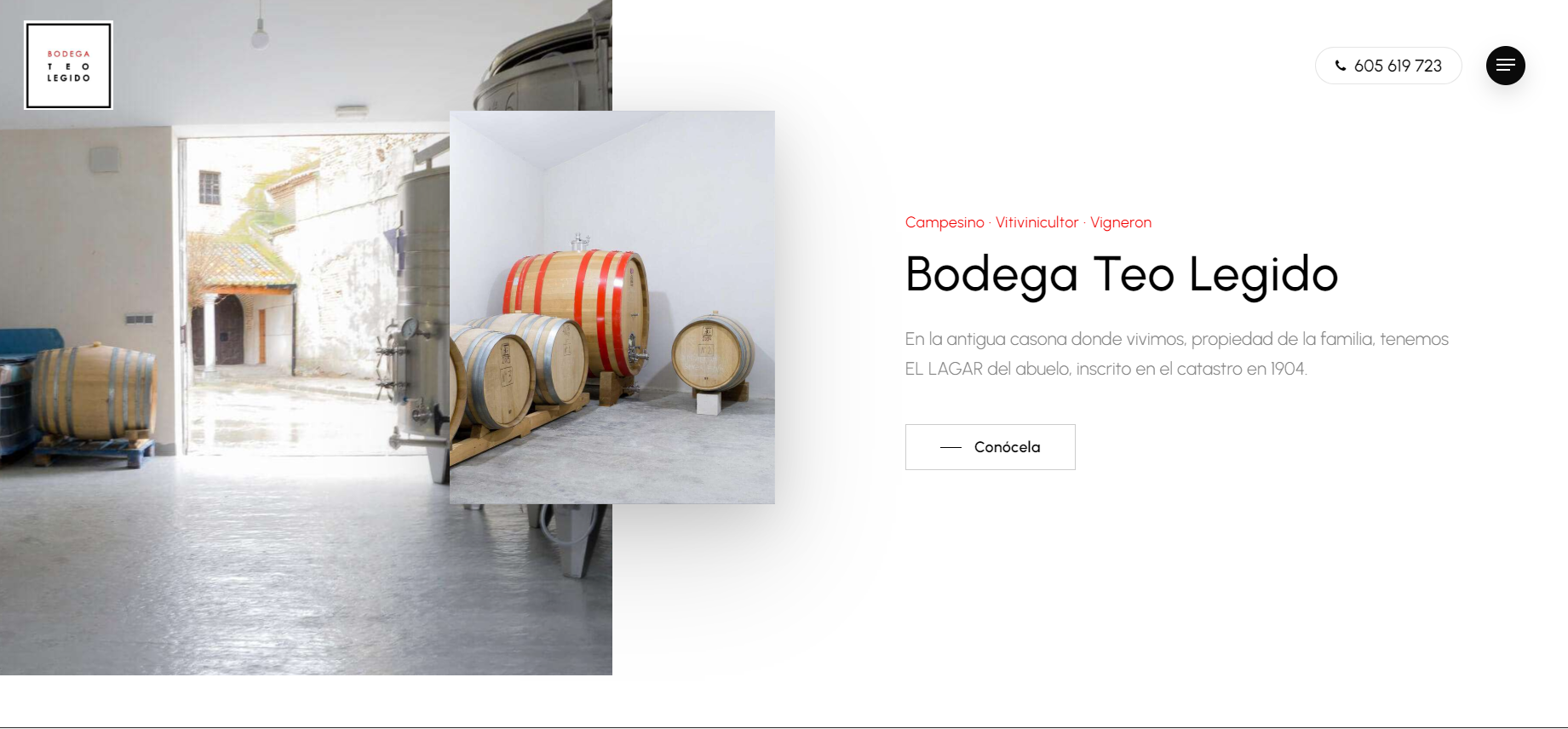 Teo Legido Ziddea | Estudio de diseño de páginas web en Ávila