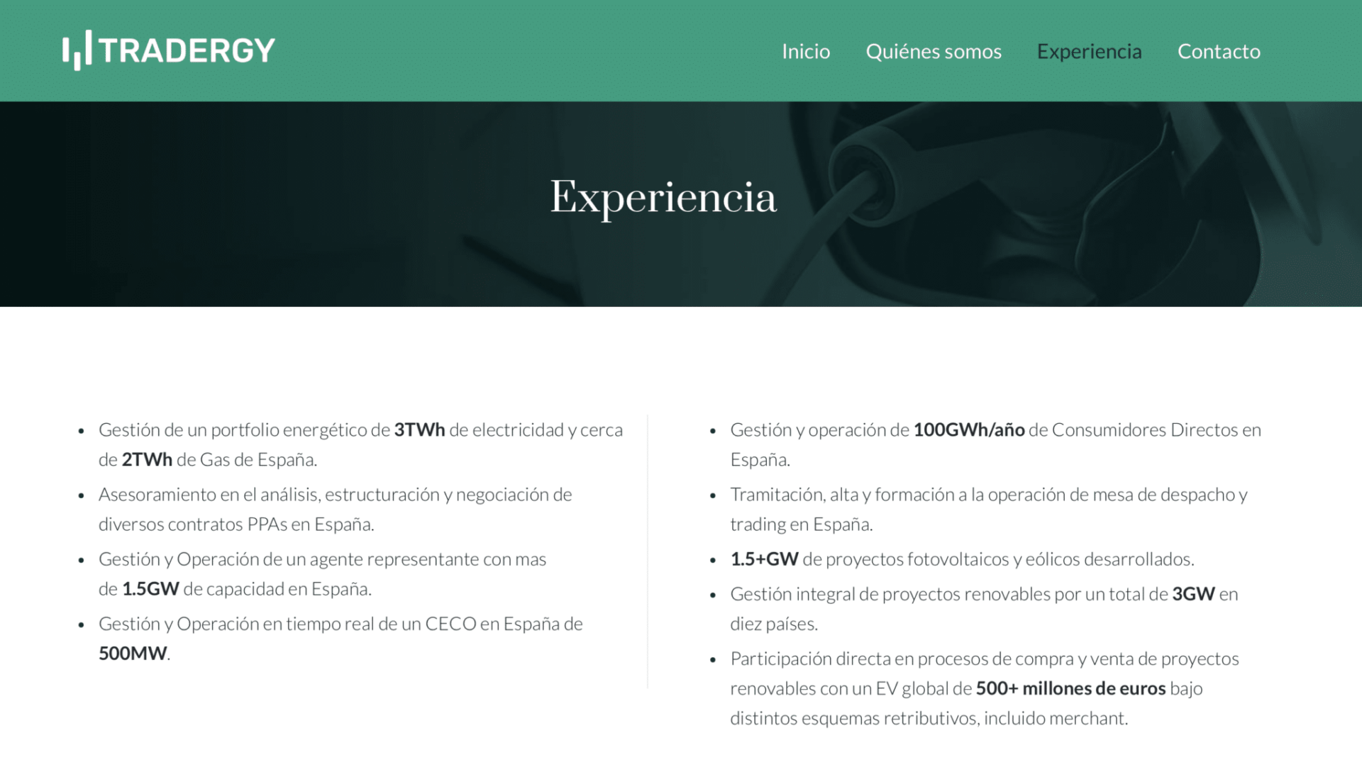 Tradergy Diseño de Páginas Web en Ávila | Ziddea