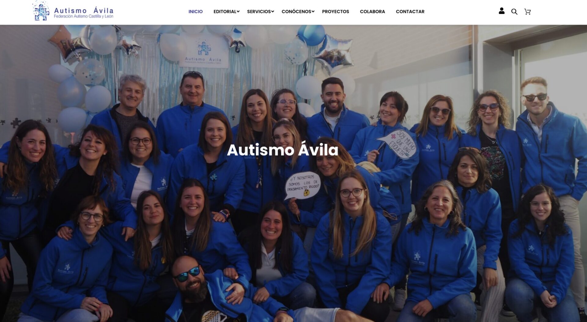 diseño web para autismo avila