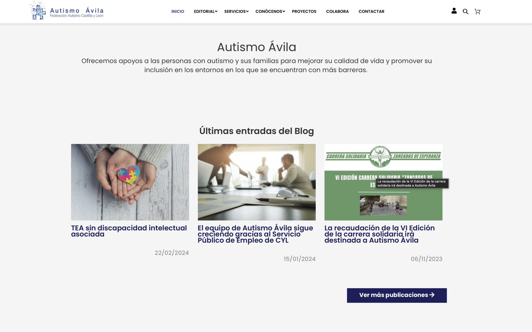 autismo avila web