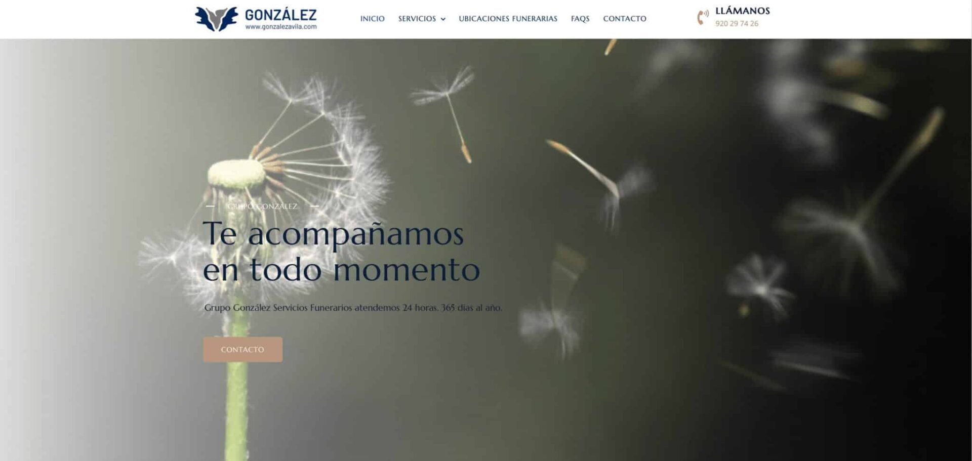 Grupo González Diseño de Páginas Web en Ávila | Ziddea