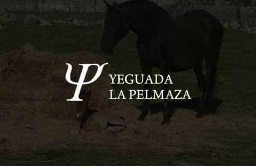 pagina web La Pelmaza