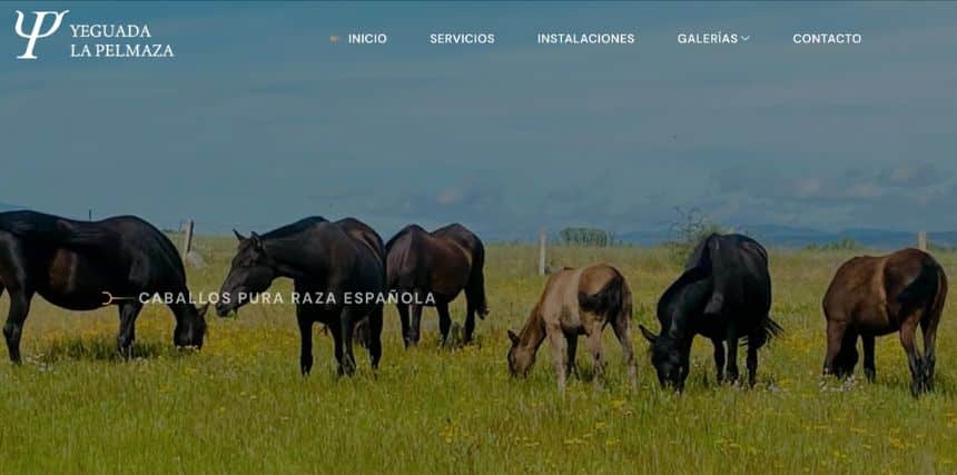 Web Yeguada La Pelmaza
